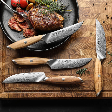 Hezhen Damascus Steakmessen 4 stuks - X01 Flagship series Hezhen Damascus Steakmessen 4 stuks - X01 Flagship series