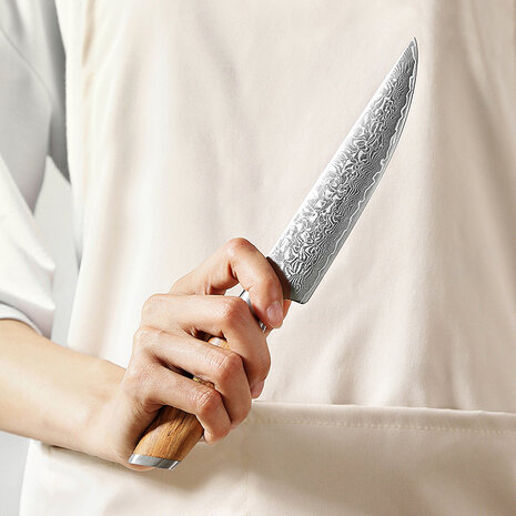 XinZuo Damascus Steakmessen 4 stuks - B37 Lan series XinZuo Damascus Steakmessen 4 stuks - B37 Lan series