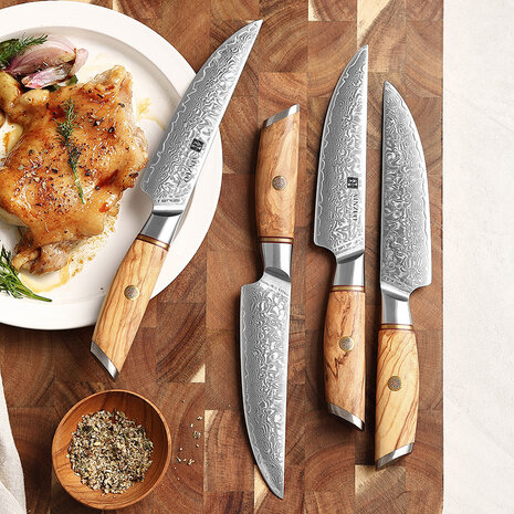 XinZuo Damascus Steakmessen 4 stuks - B37 Lan series XinZuo Damascus Steakmessen 4 stuks - B37 Lan series