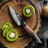 XinZuo Damascus Schilmes - X06 Mo Series XinZuo Damascus Schilmes - X06 Mo Series