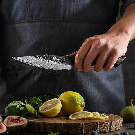 XinZuo Damascus messenset 5-delig - X06 Mo series XinZuo Damascus messenset 5-delig - X06 Mo series