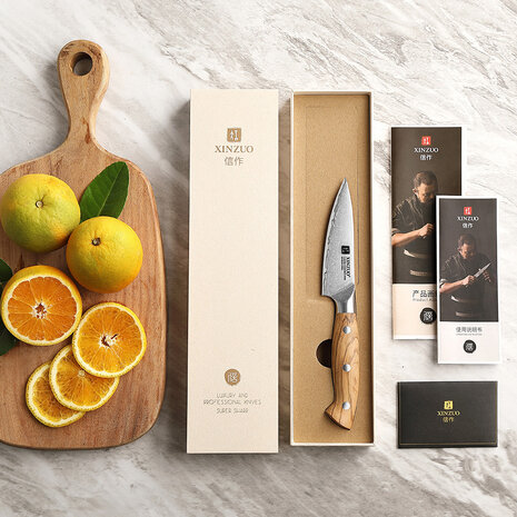 XinZuo Schilmes – X02O Pin Series