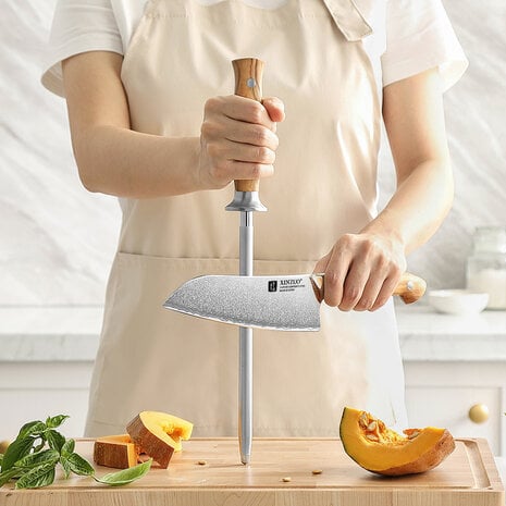 XinZuo Slijpstaaf – X02O Pin Series