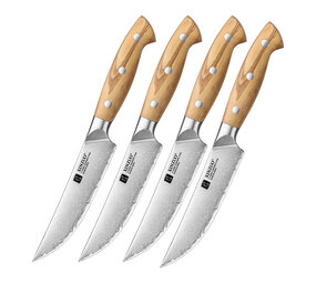 XinZuo Steakmessenset 4-delig (X02O Series)