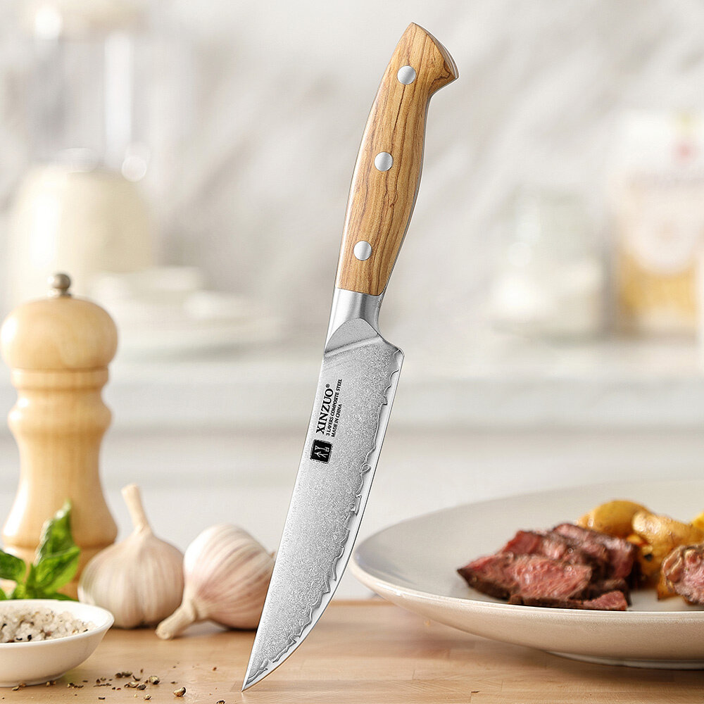 XinZuo Steakmessenset 4-delig – X02O Pin Series