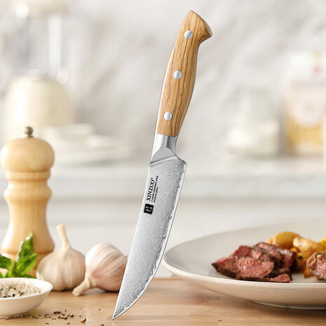 XinZuo Steakmessenset 4-delig – X02O Pin Series