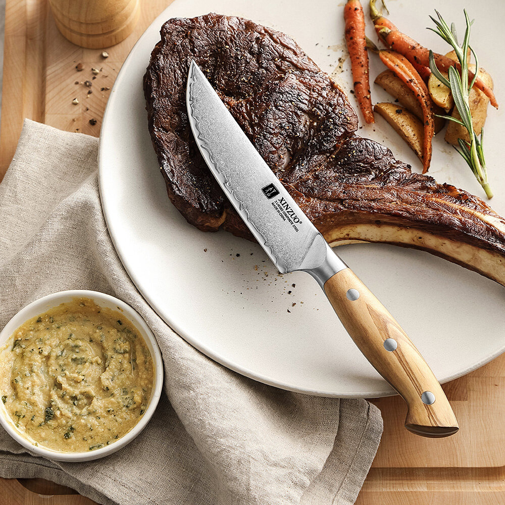 XinZuo Steakmessenset 4-delig – X02O Pin Series