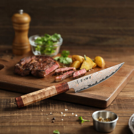 Hezhen Koper Damascus Steakmes (X05C series)