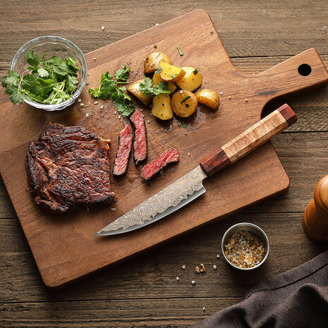 Hezhen Koper Damascus Steakmes (X05C series)