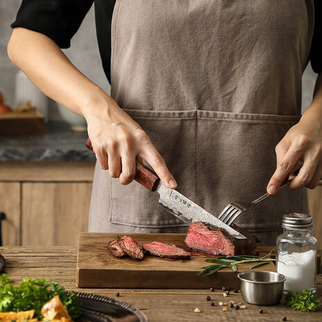 Hezhen Koper Damascus Steakmes (X05C series)