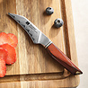 XinZuo Damascus schilmes 8cm - X03 Xing Series - XinZuo x Mauro Uliassi (3-sterren Michelin chef) XinZuo Damascus schilmes 8cm - X03 Xing Series - XinZuo x Mauro Uliassi (3-sterren Michelin chef)