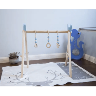 SFT Products SFT Products Baby Play Gym Blauw