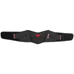 Fly Fly Protection 350-06009 Barricade Kidney Belt CE