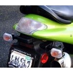 Taillights Triumph Daytona 00-01/Speed Triple 95-01/595 (CTL-0031)