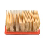 Champion Champion air filter CAF6602