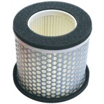 Champion Champion air filter CH V303/301T