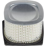 Champion Champion air filter CH J321/301T