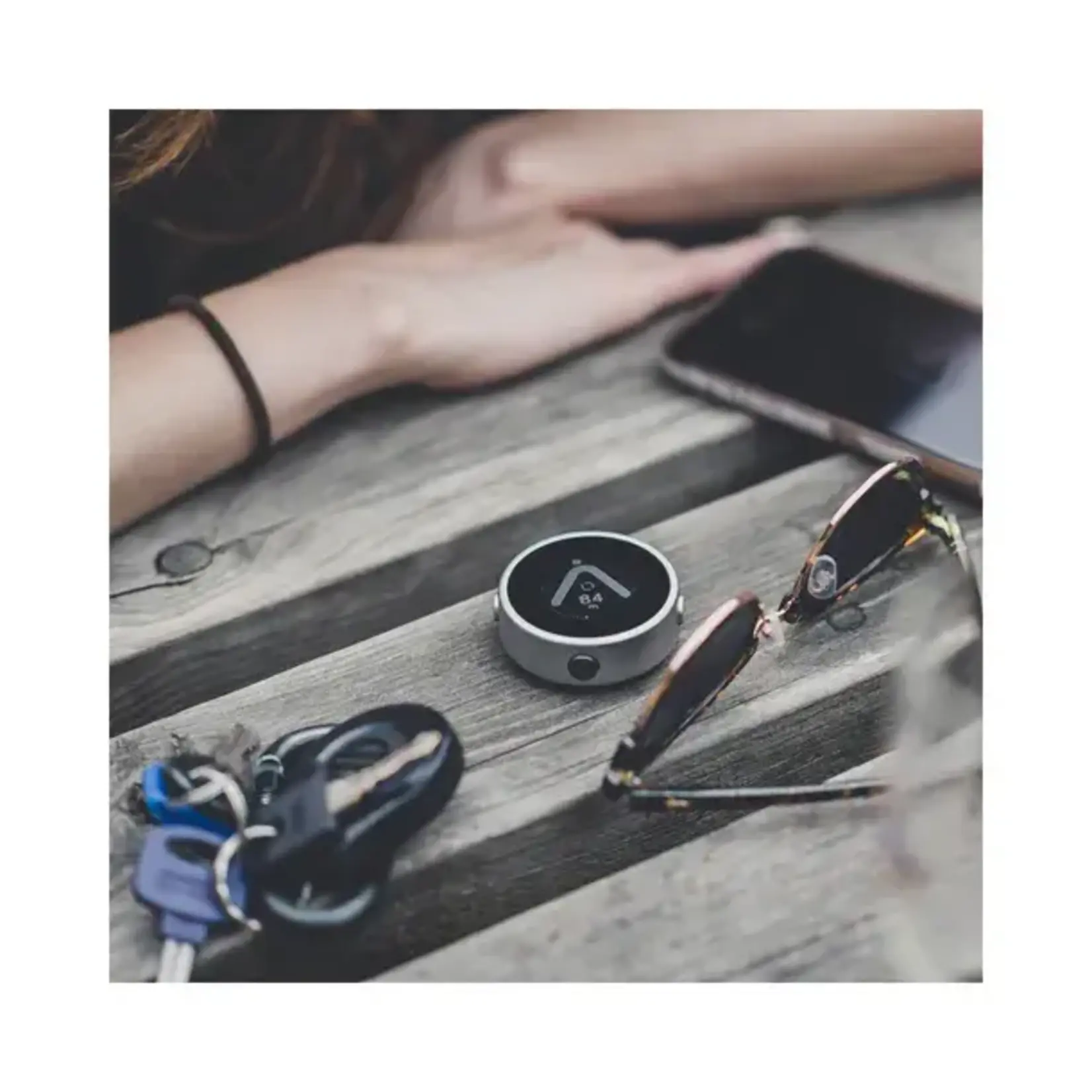 Beeline Beeline navigation silver