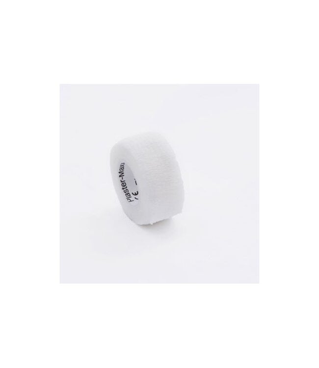 Invitalis PlasterMaxx, der ideale Putz ohne Kleber