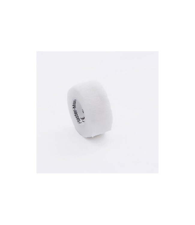 Invitalis PlasterMaxx, l'enduit idéal sans colle