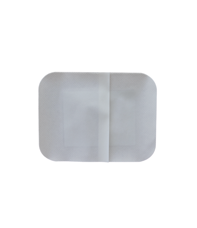 Feetox Patch de pied détox | gingembre (32 pièces) - Détox, meilleur métabolisme, meilleur sommeil, plus d'énergie