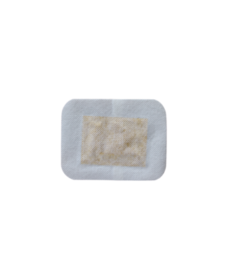 Feetox Patch de pied détox | gingembre (32 pièces)