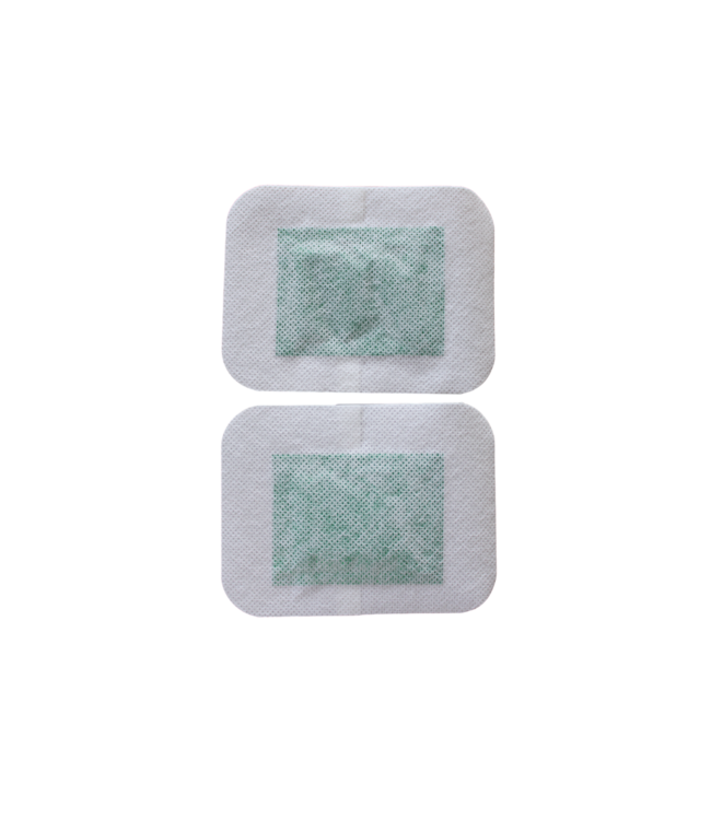 Feetox  Detox-Fußpflaster | Beifuß (32 Stück) – Entgiftung, besserer Stoffwechsel, besserer Schlaf, mehr Energie