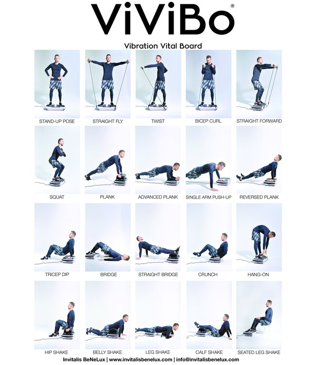 Invitalis Refurbished ViViBo, oscillating fitness plate