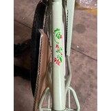 Meisjesfiets 26 inch stevig model mintgroen van Dallas Bike