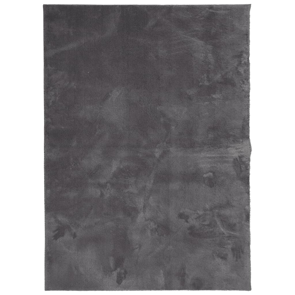 vidaXL Vloerkleed Antraciet 120x170cm - 45% Korting!