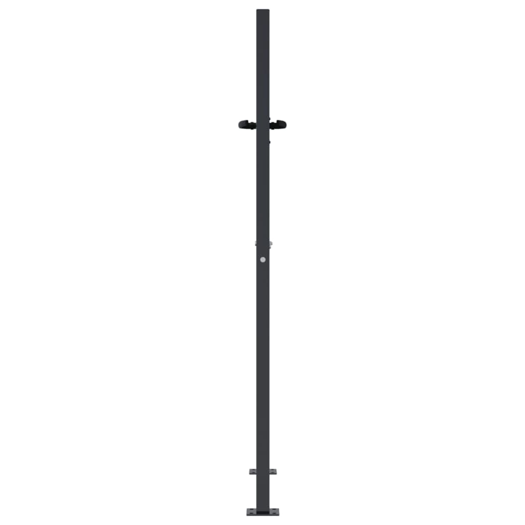 vidaXL Poort 105x155cm Antraciet - 41% Korting!