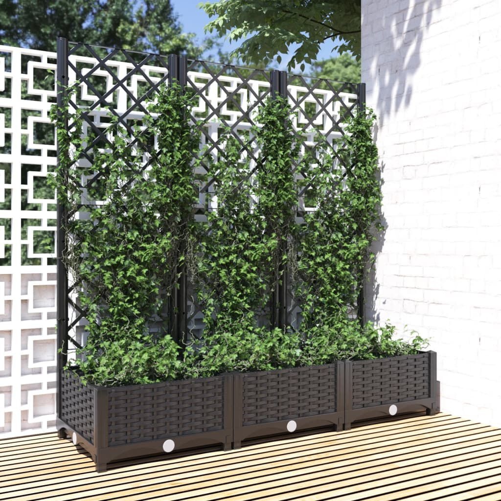 VidaXL Plantenbak met Latwerk 120cm - 35% Korting!