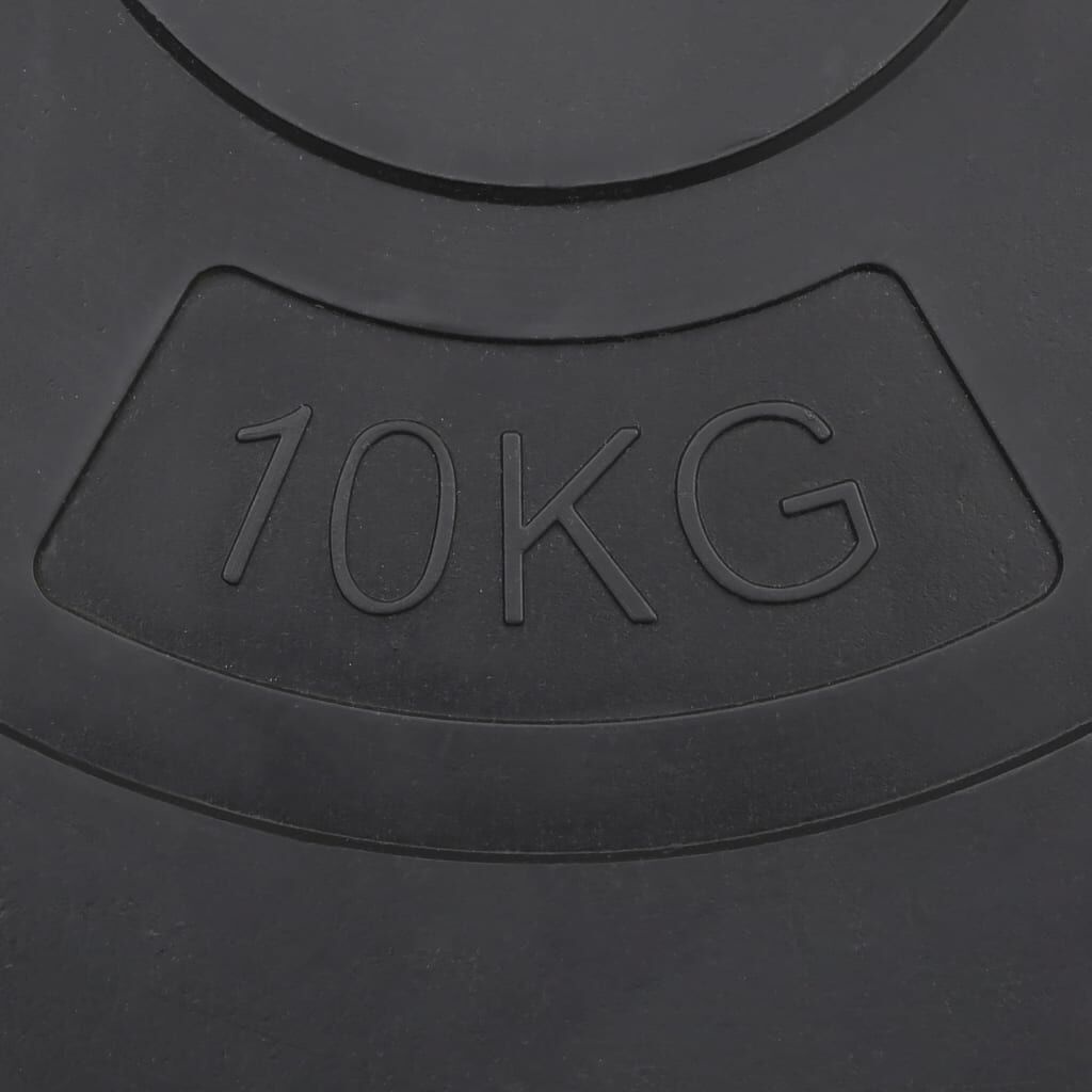 VidaXL Halterschijven Set 30kg - 45% Korting! Beton Gewichten