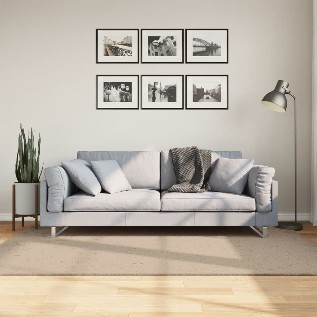 vidaXL Vloerkleed HUARTE 140x200 Zand -35%!
