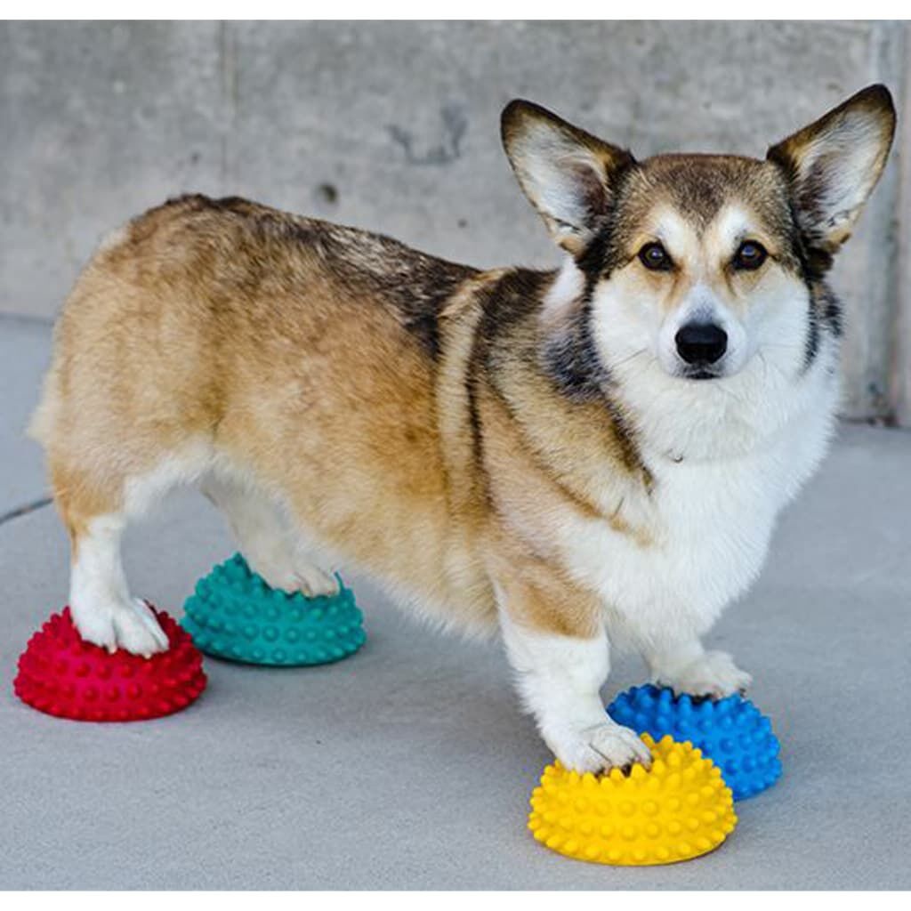 FitPAWS Balanceerpods (4 st) - Topdeal! 35% Korting