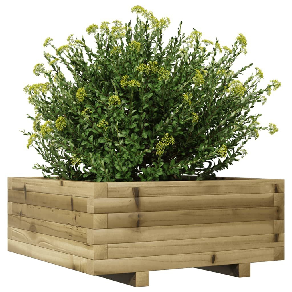 VidaXL Plantenbak Grenenhout 60x60cm - 41% Korting!
