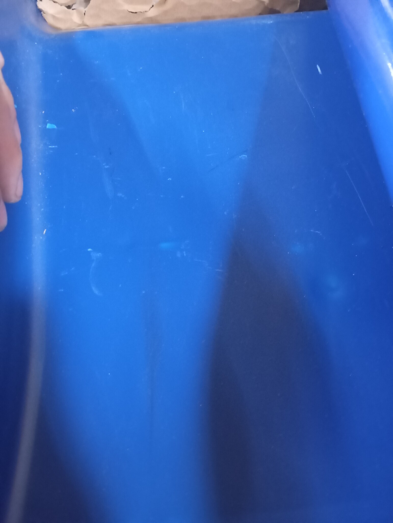 VidaXL Glijbaan & Schommels Blauw -60%! Speelplezier voor de Kids!