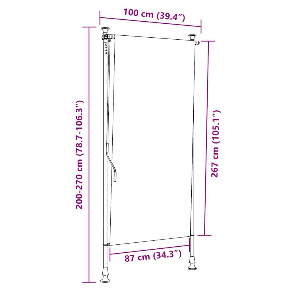 vidaXL Rolgordijn Buiten 100x270 Blauw/Wit - 45% Korting!