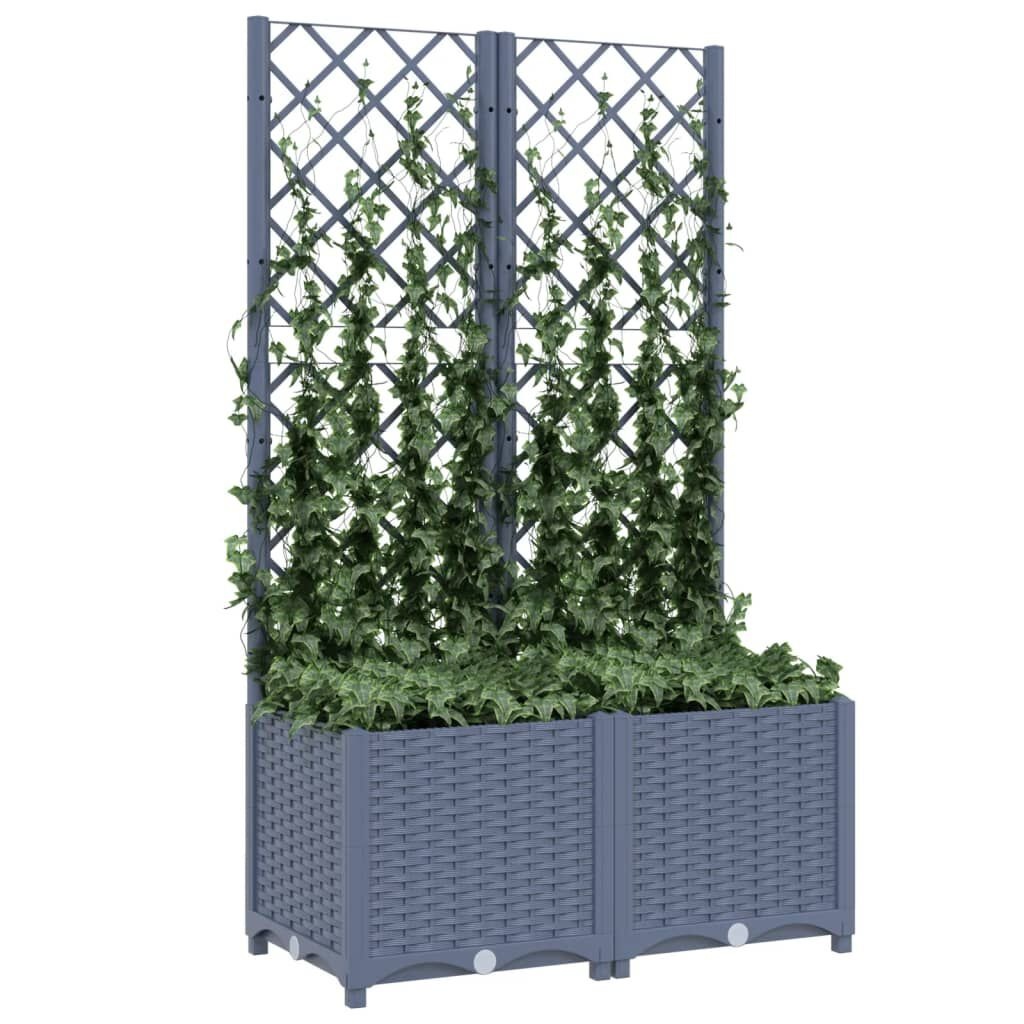 VidaXL Plantenbak met Latwerk 80x40x136cm - 35% Korting!