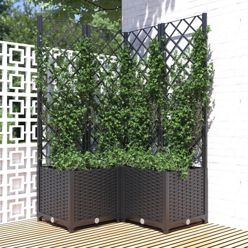 vidaXL Plantenbak met Latwerk 80x80 - Zwart - 35% Korting!