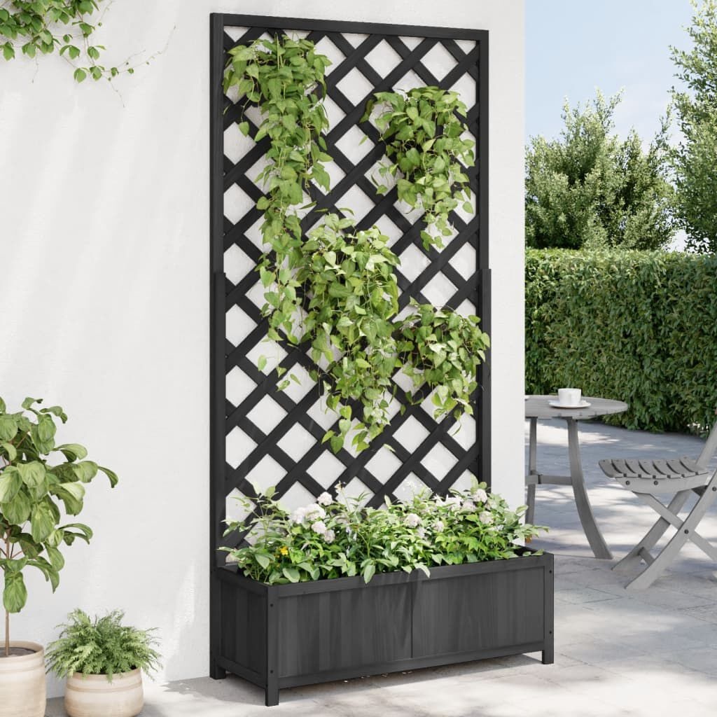 vidaXL Plantenbak met Latwerk Zwart - 35% Korting!