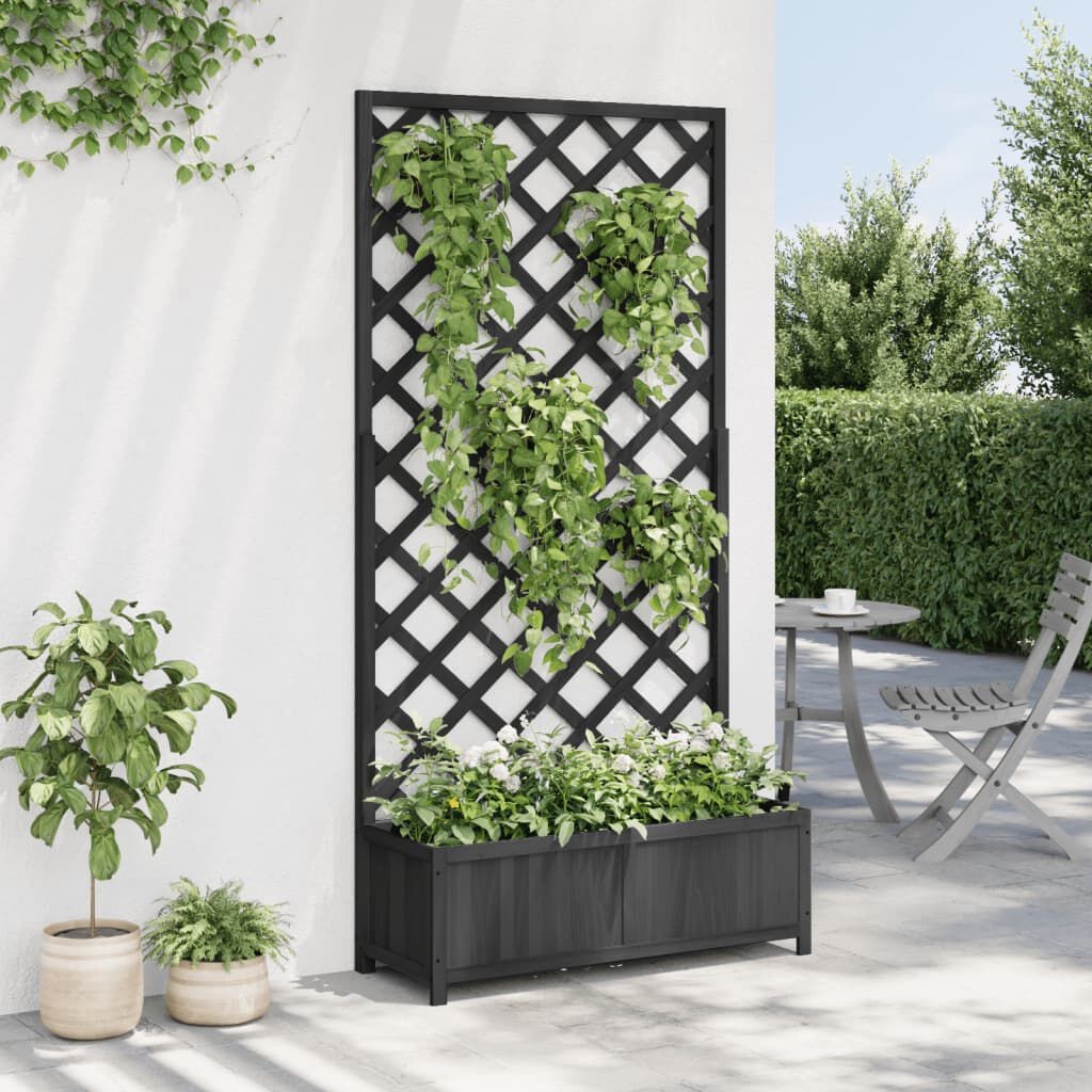 vidaXL Plantenbak met Latwerk Zwart - 35% Korting!