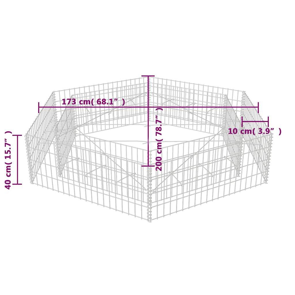 vidaXL Gabion Plantenbak Zeshoekig - 200cm - 35% Korting!