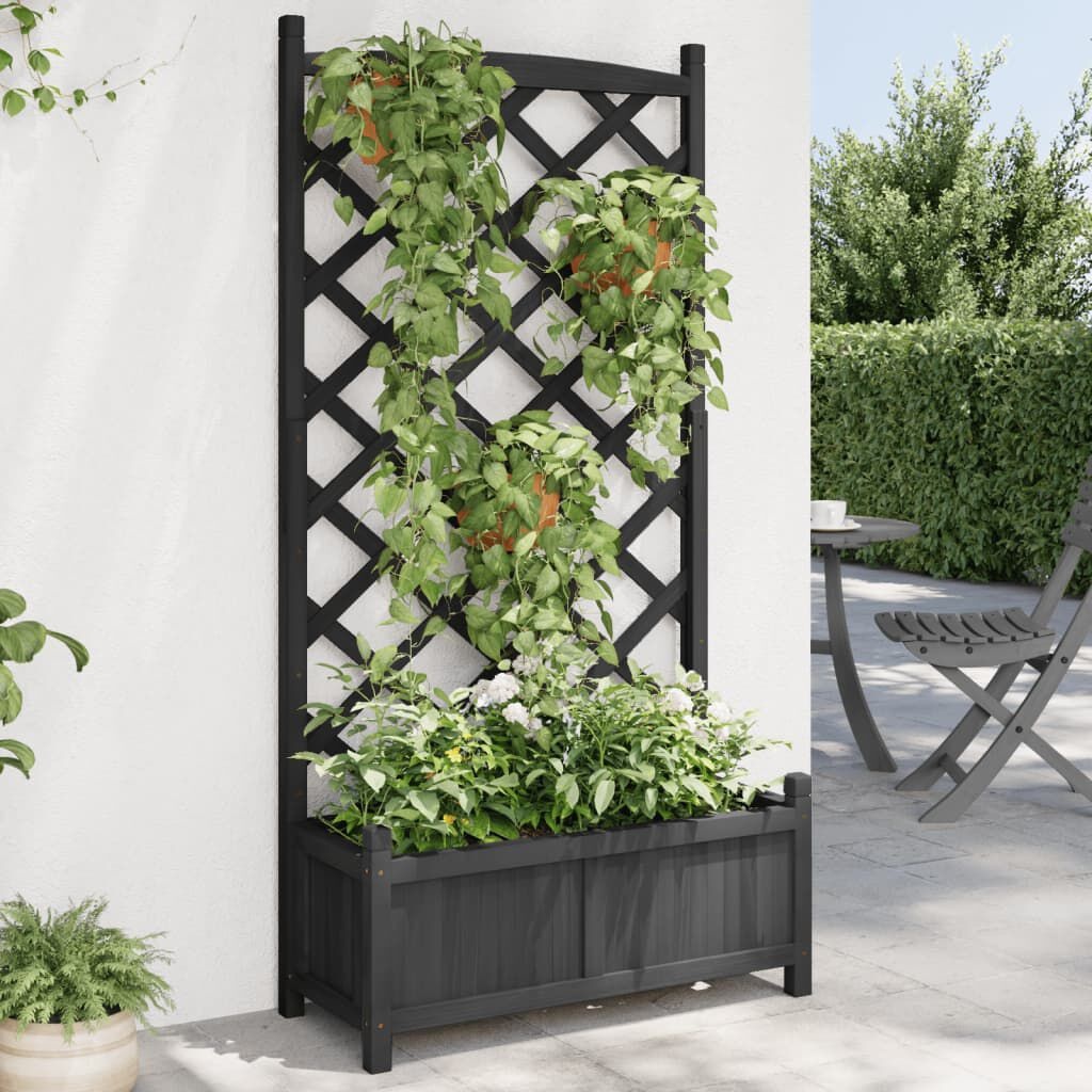 VidaXL Plantenbak met Latwerk Zwart - 35% Korting!