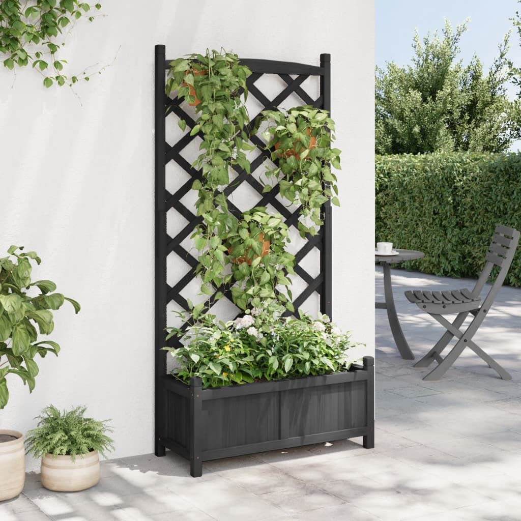 VidaXL Plantenbak met Latwerk Zwart - 35% Korting!