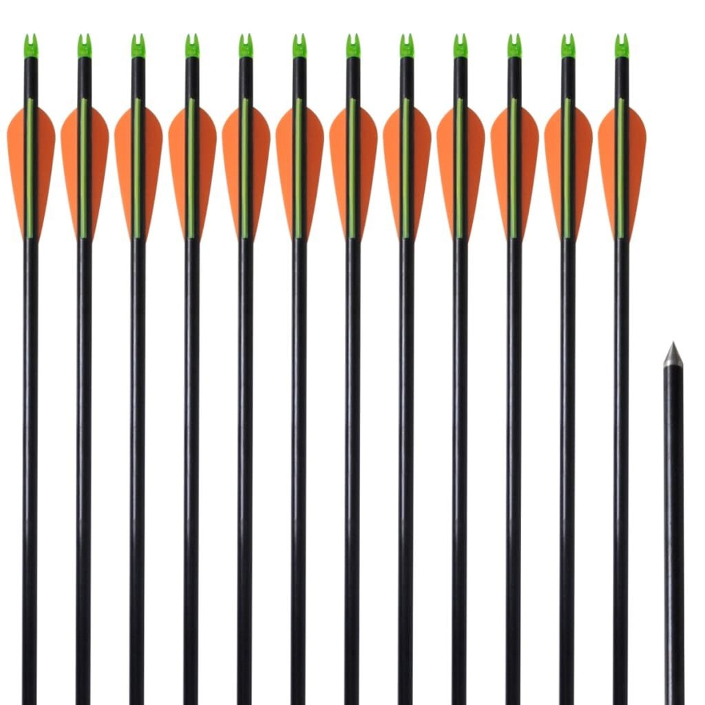 Compoundboog Pijlen 30" (12 stuks) - 35% Korting!