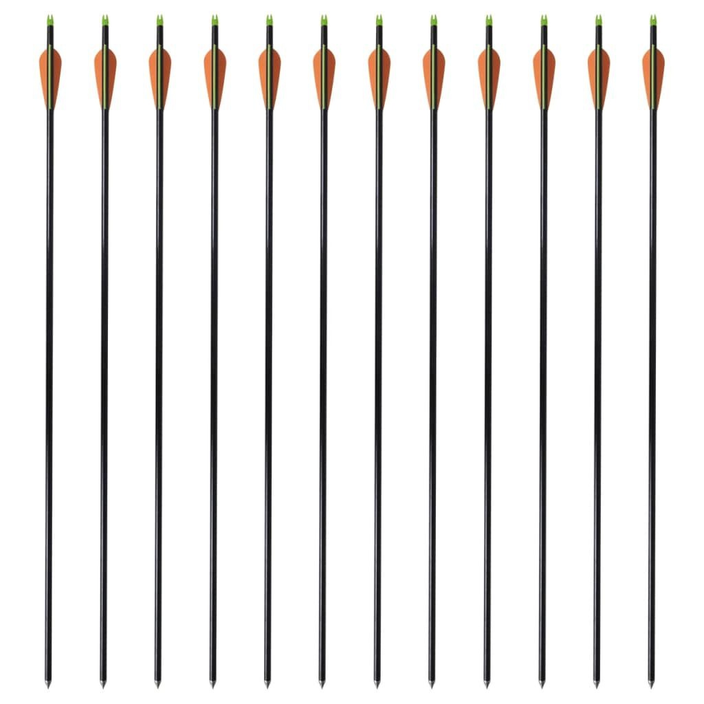 Compoundboog Pijlen 30" (12 stuks) - 35% Korting!