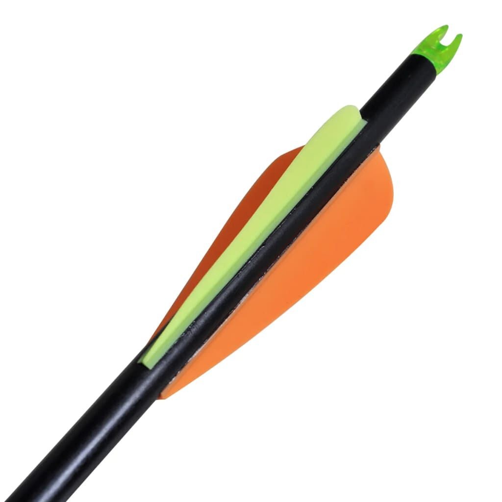 Compoundboog Pijlen 30" (12 stuks) - 35% Korting!