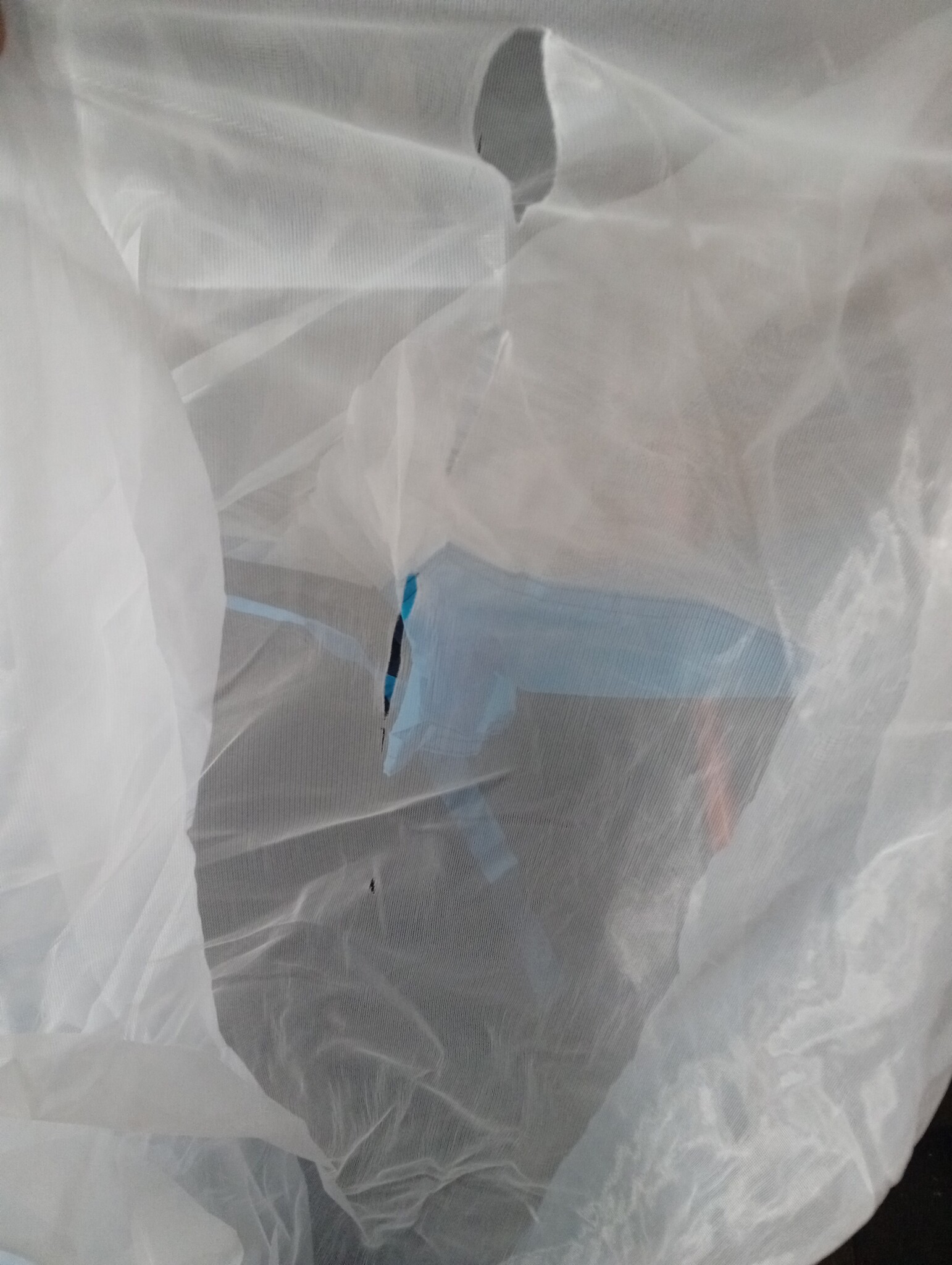Zwembadtent vidaXL 590x520x250cm Blauw - 50% Korting!