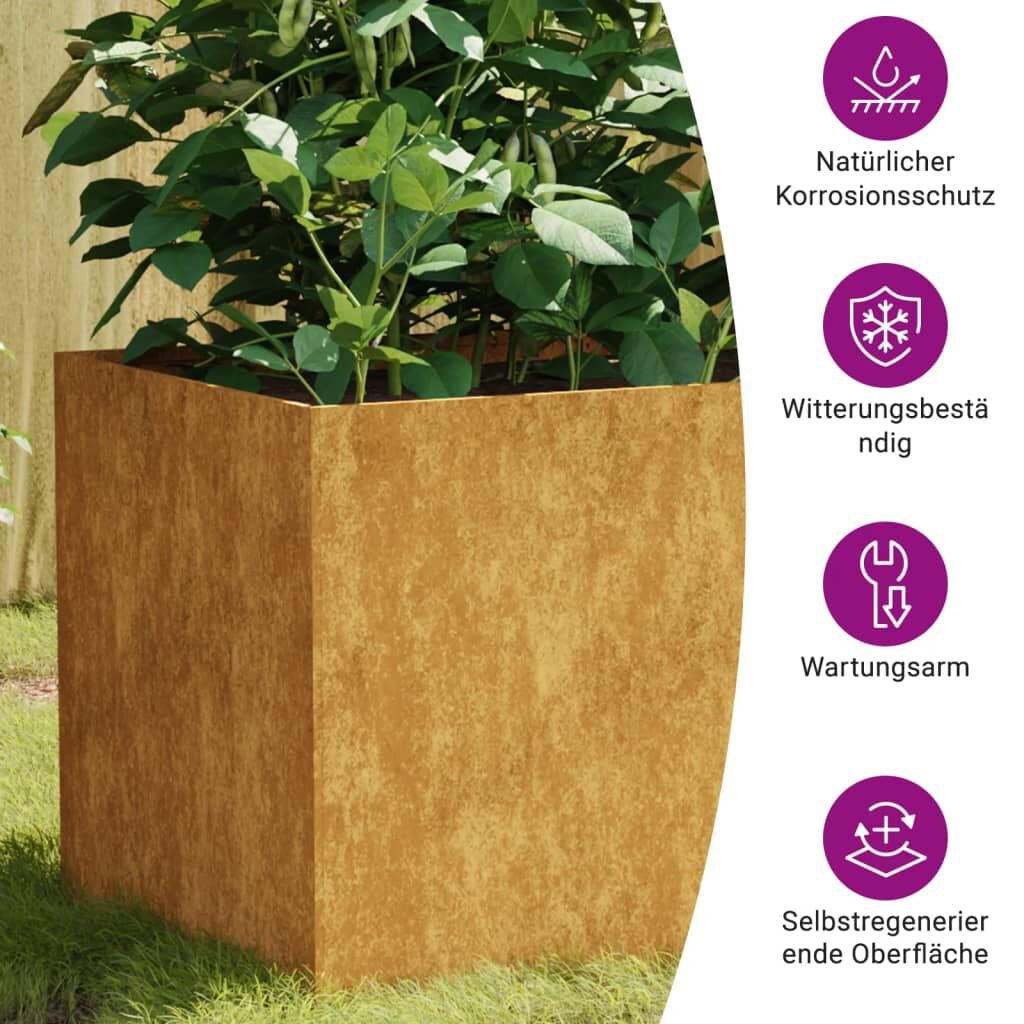 VidaXL Cortenstaal Plantenbak 80x40x40 - 55% Korting! Roestig